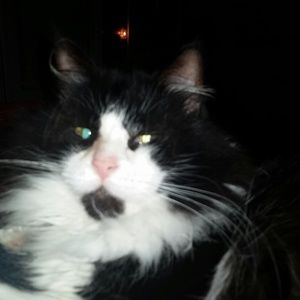 Meet your Posher, Tonya